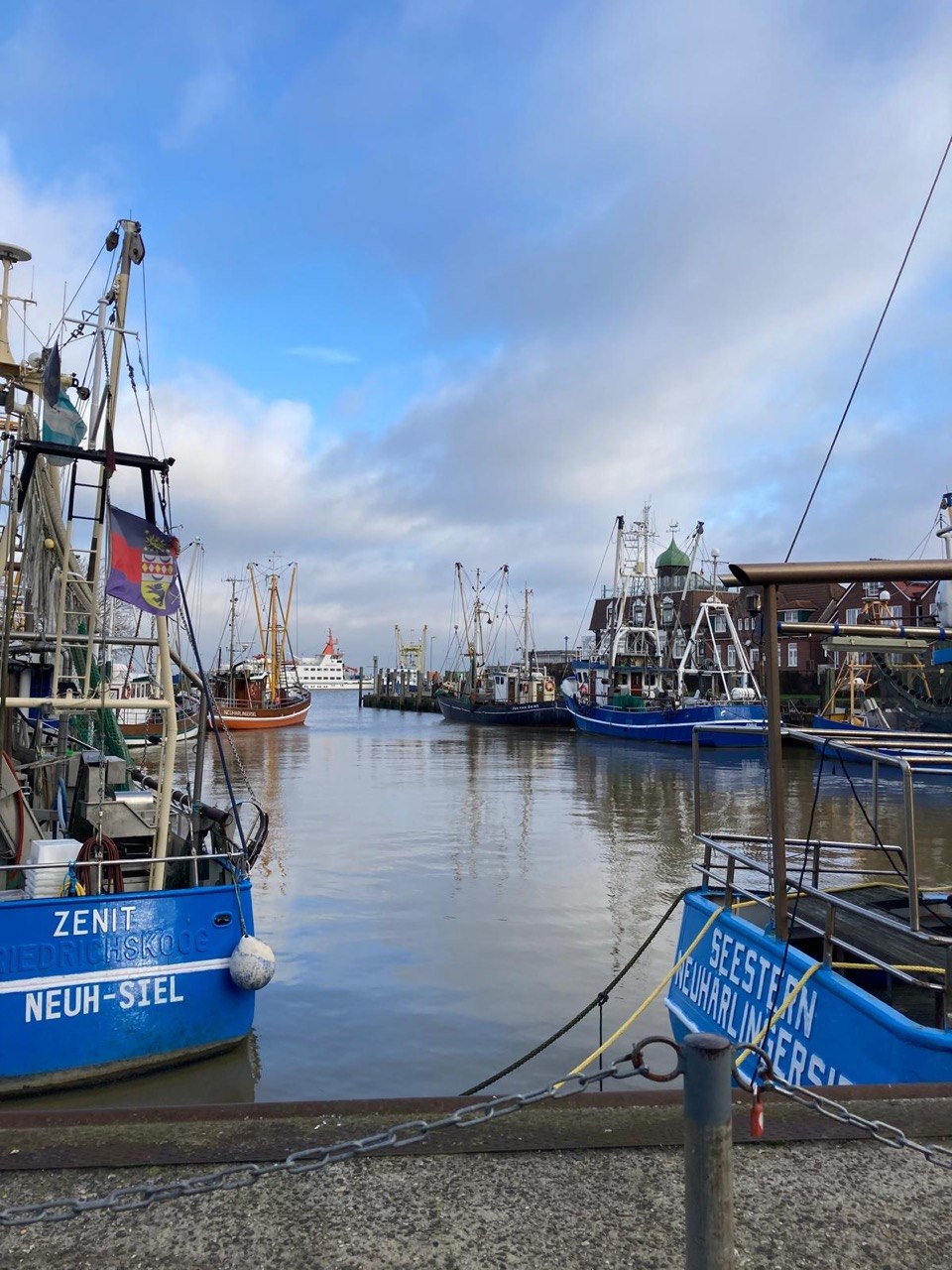 Fischereihafen von Neuharlingersiel mit Krabbenkuttern